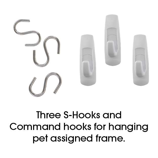 Test Kit for Pet Care Services