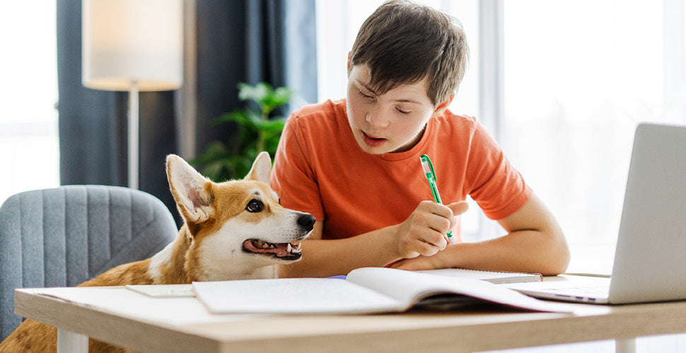 Adapting to New Routines with a New Pet