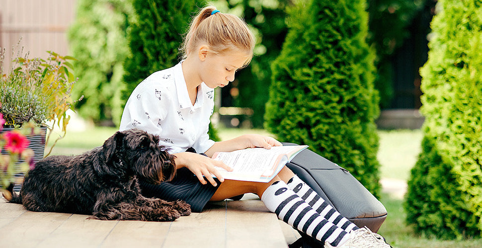 Back-to-School, Not Back to the Bowl: Keeping Pet Routines Consistent During Schedule Shifts