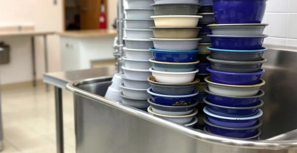 Why Dish Duty Becomes a Bigger Problem During Peak Pet Care Season