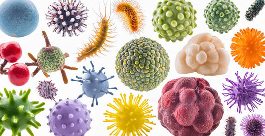 Is Your Pet’s Bowl Making Them Sick? The Truth About Bacteria in Pet Dishes