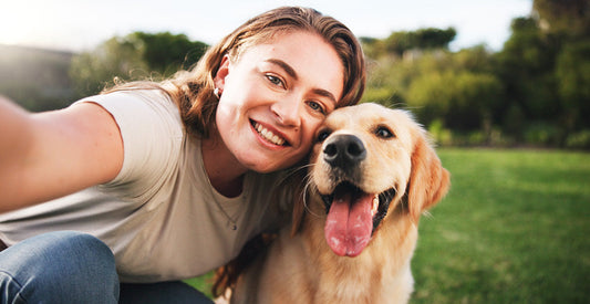 How Small Daily Habits (Like Clean Bowls) Add Up to a Healthier Pet