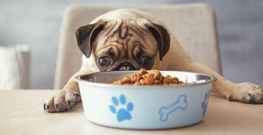 Reduce, Reuse, Rescue: How Shelters Can Improve Hygiene and Sustainability