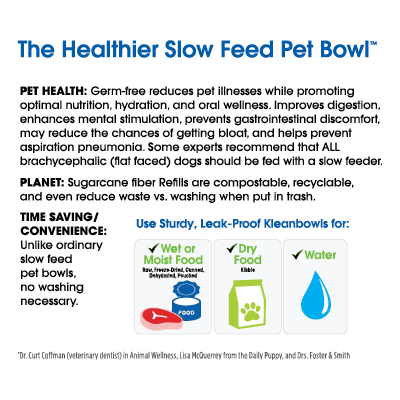 The Healthier Slow Feed Pet Bowl MC