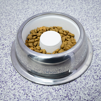 The Healthier Slow Feed Pet Bowl Starter Kit
