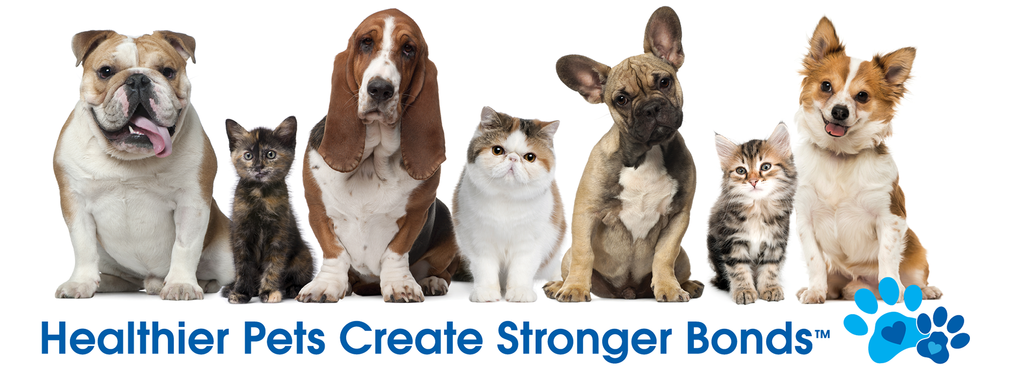 Healthier Pets Create Stronger Bonds. Kinn Kleanbowl.