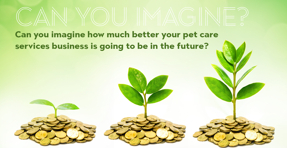 Pet Care Business Sustainably