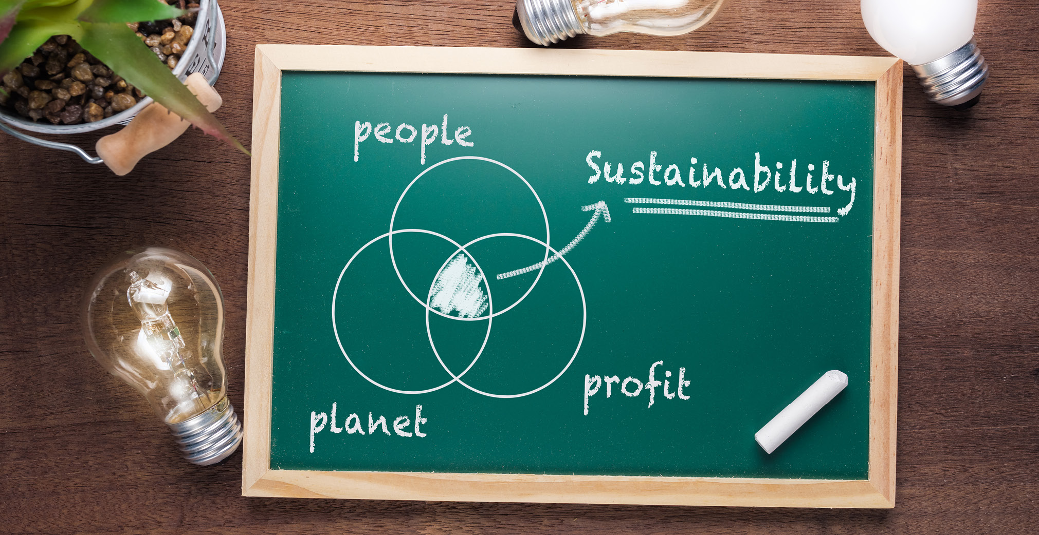 Sustainability Matters: How to Create a Sustainable Business Beyond Going Green