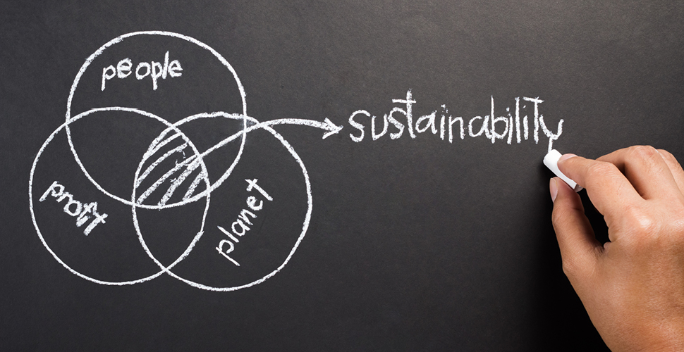 How to Incorporate Sustainability In Your Pet Care Business