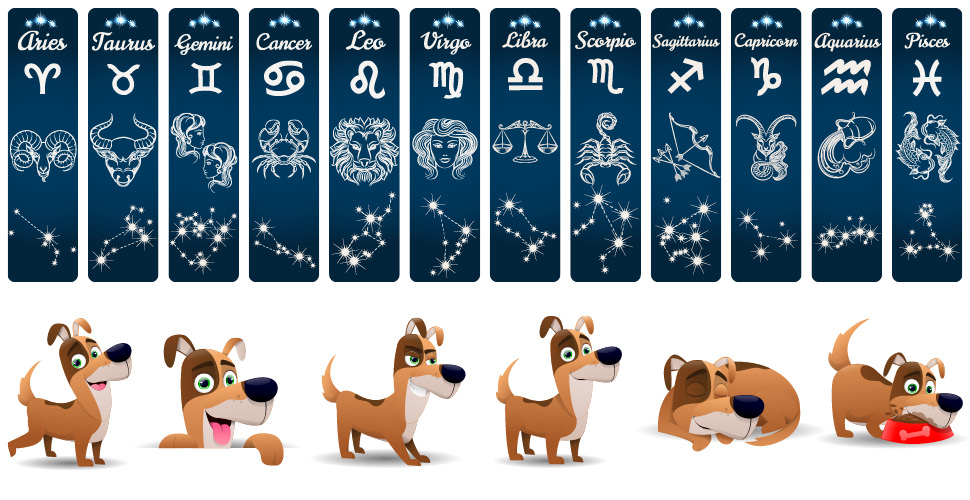 What Your Pet's Astrological Sign Says About Their Personality – Kinn Inc.