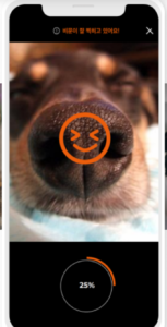 PetNow Pet Nose Identifier Smartphone App
