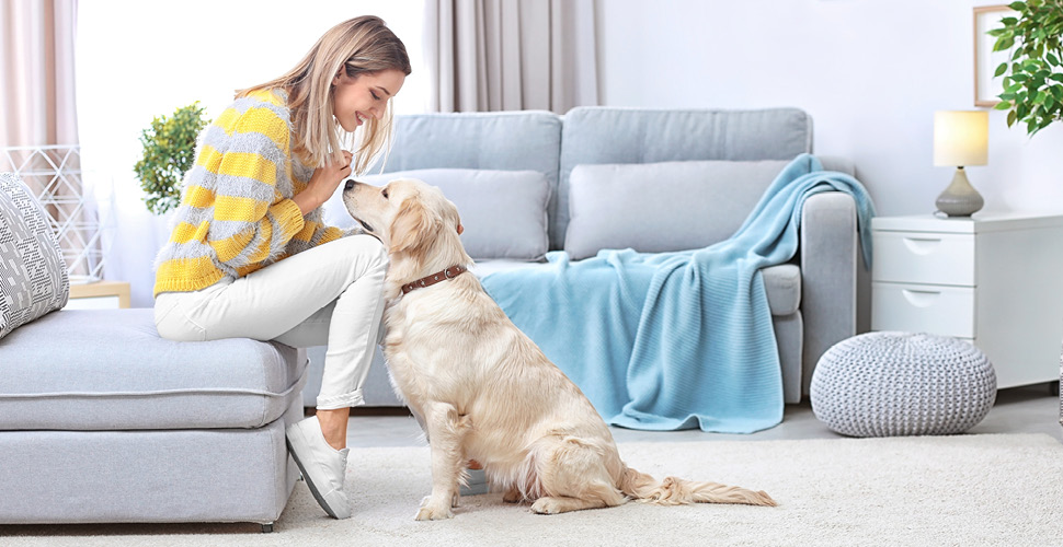 How to Prepare Your Pet For an In-Home Pet Sitter