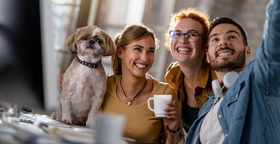 Creating a Positive Culture in Your Pet Care Facility: Why It Matters and How to Do It