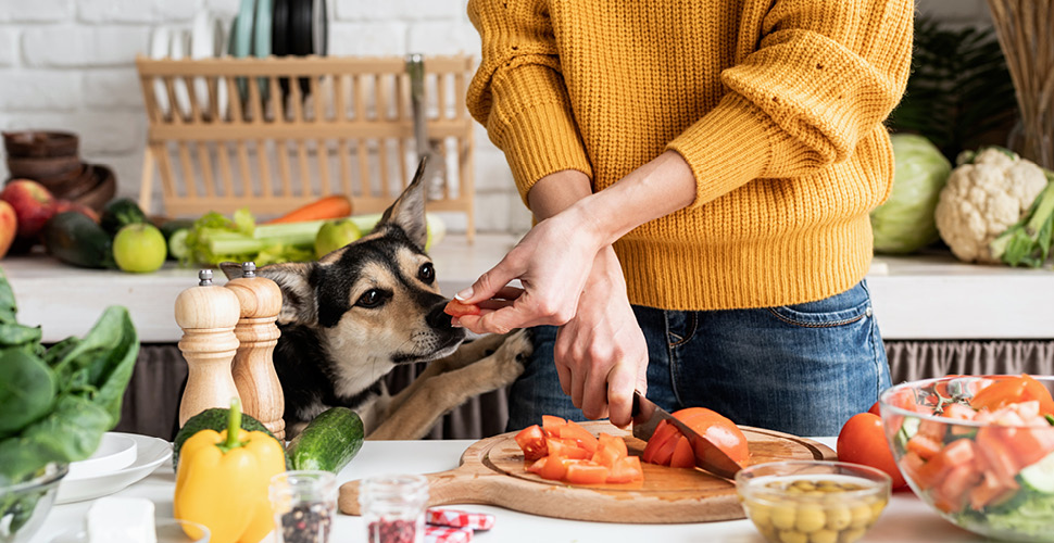 Seasonal Nutrition: Adjusting Your Pet’s Diet for Autumn