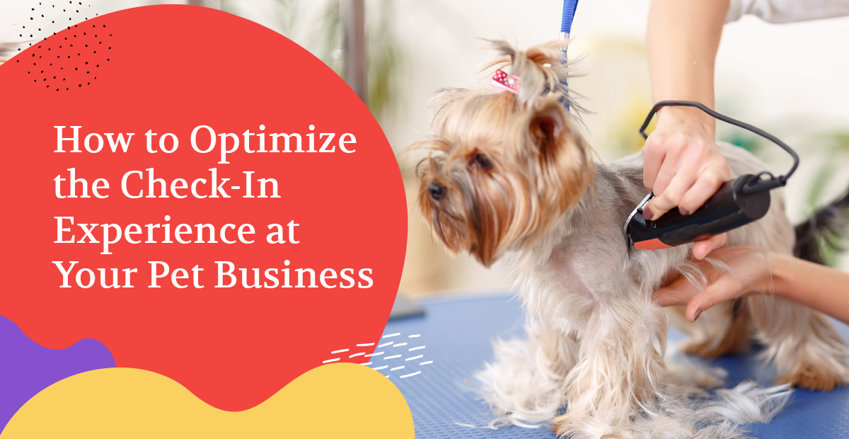 Guest Post by Gingr: How to Optimize the Check-In Experience at Your Pet Business