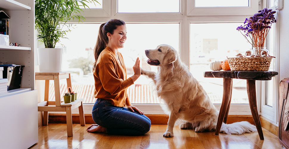 National Pet Guardian Day: Why Fostering Changes Everything